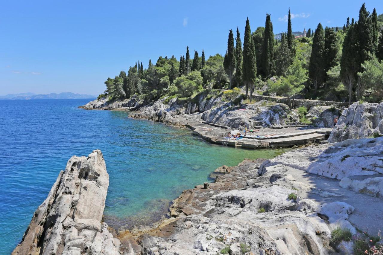 Apartments And Rooms By The Sea Trpanj, Peljesac - 258 Extérieur photo