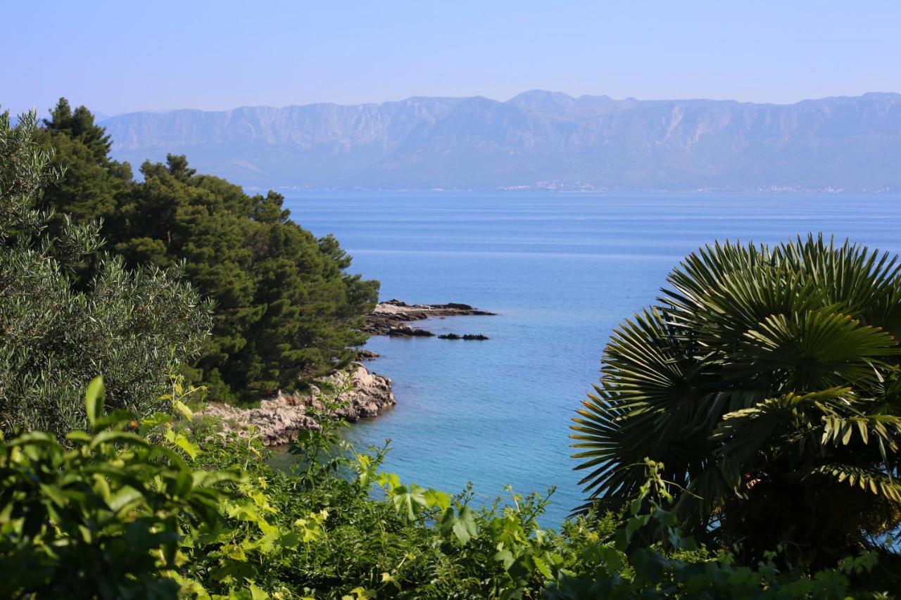 Apartments And Rooms By The Sea Trpanj, Peljesac - 258 Extérieur photo