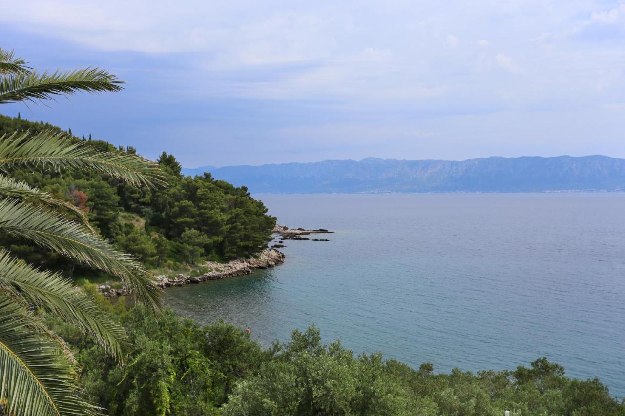Apartments And Rooms By The Sea Trpanj, Peljesac - 258 Extérieur photo